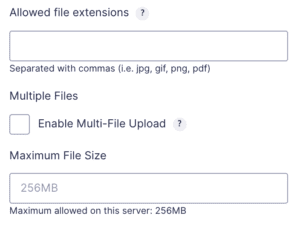 File Upload Field General Settings
