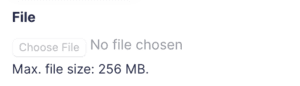File Upload Field