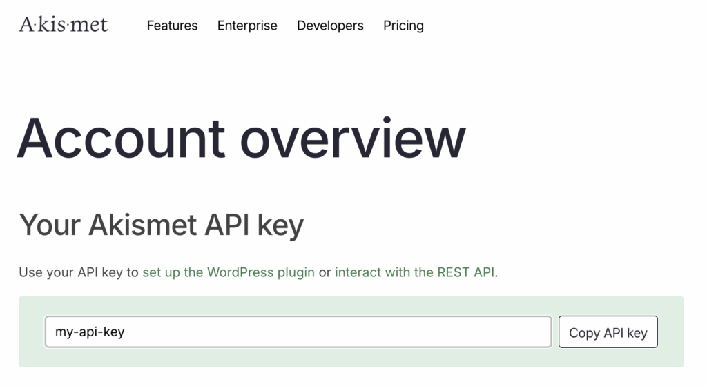 Image showing Akismet API Key in the Akismet website.